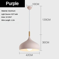 Nordic Simple Macaroon Color Pendant Lights LED Hanging Lamp Lamparas Colgantes Cocina Kitchen Cafe Single Head Chandelier